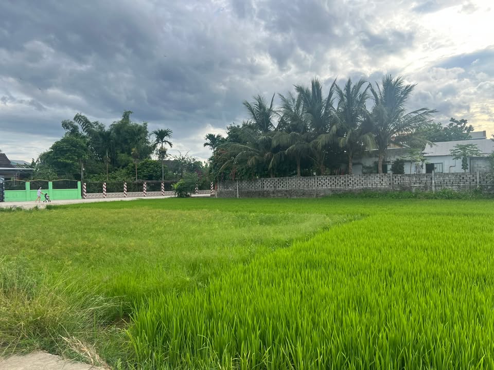 Đất Nam Phước Đà Nẵng 195m² giá 800 triệu - Đầu tư tiềm năng ngay trung tâm hành chính!