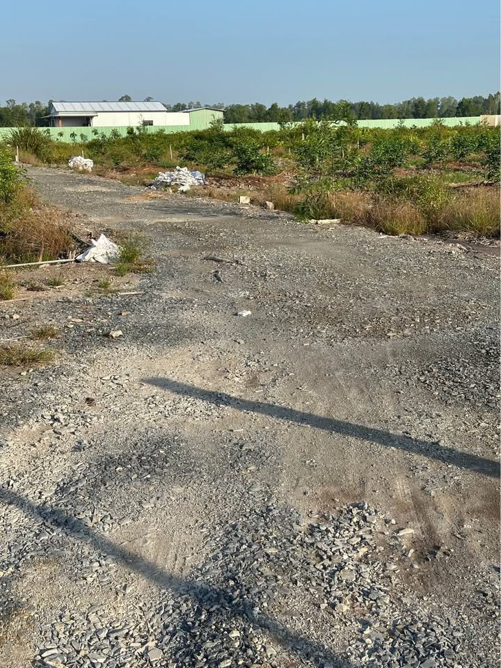 Đất vườn Tân Thành Thủ Thừa 1500m² giá 850 triệu - Sổ hồng chính chủ, đường xe tải
