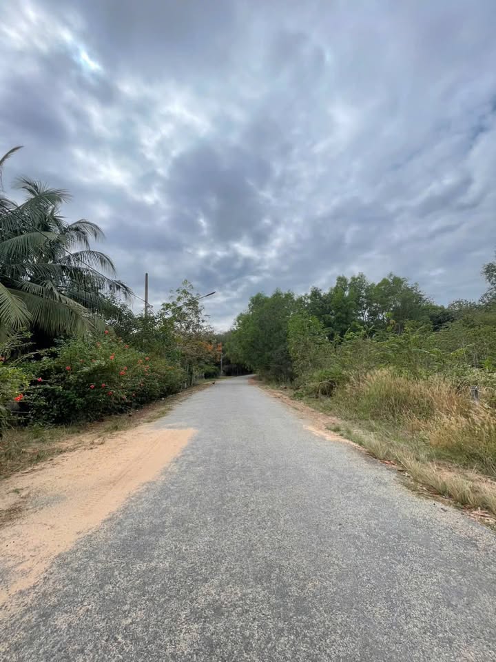 Đất nền Bàu Sen, Dầu Tiếng 132m² giá 880 triệu - Sổ hồng chính chủ, thổ cư 100%!