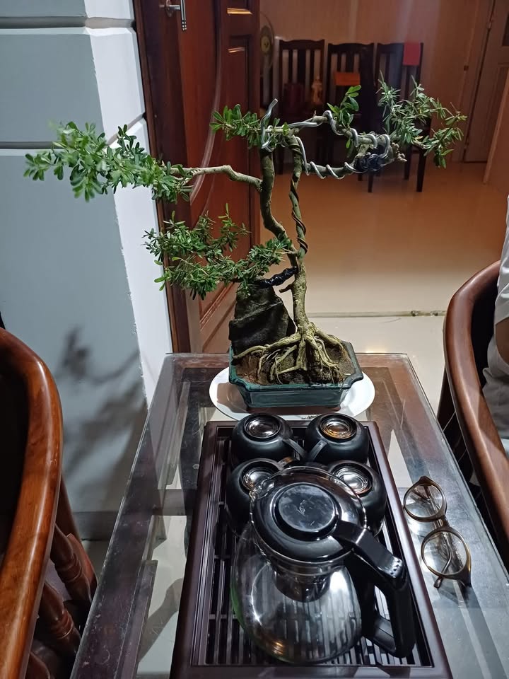 Nhà Long Hải 340m² giá 8.56 tỷ - Mặt tiền nhựa gần biển