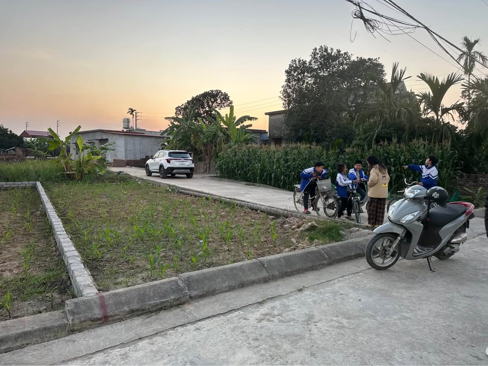 Đất nền Quang Hưng An Lão 67.2m² - Vị trí đẹp, dân cư đông đúc!