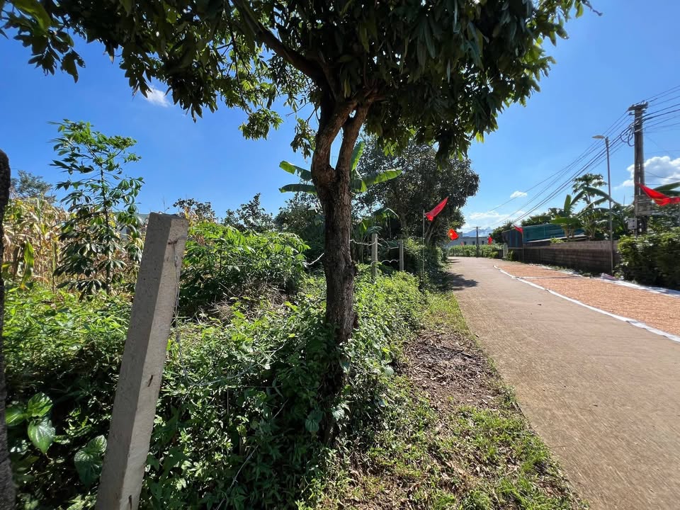 Đất thổ cư Dũng Phong 338m² giá 800 triệu - Sổ đỏ chính chủ!