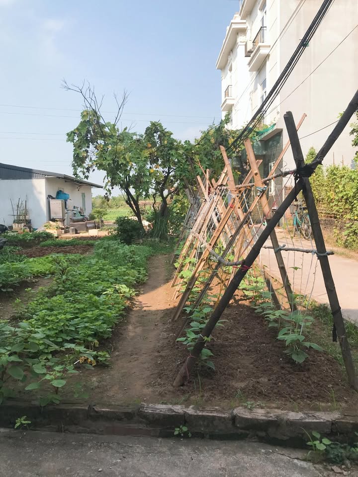 Đất nền An Trai, Vân Canh 80m² giá thỏa thuận - Mặt tiền rộng, ô tô đỗ thoải mái!