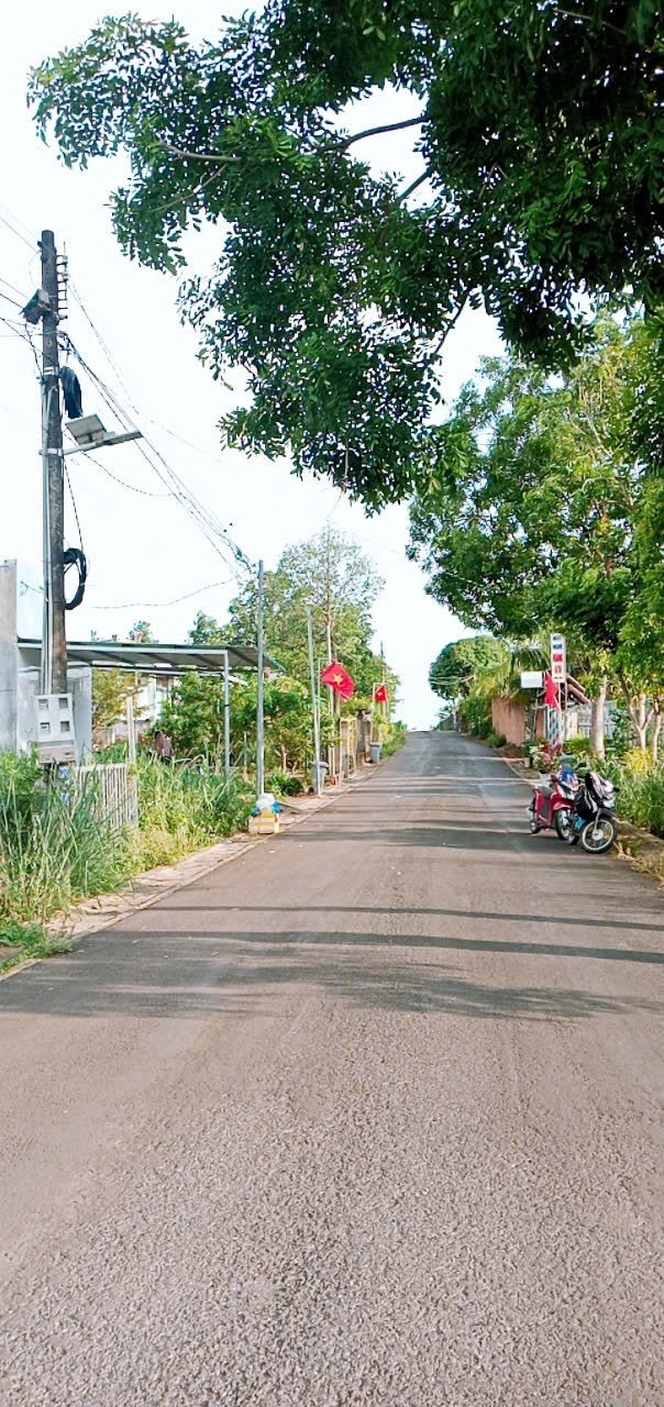 Đất nền Sông Thao, Tân Bình 100m² giá 1 tỷ - Kinh doanh sinh lời tốt!