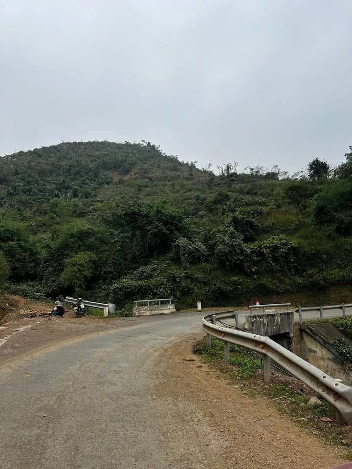 Đất rừng sản xuất Kim Bôi 13.3ha giá 8 tỷ - Sổ hồng công chứng trong ngày!