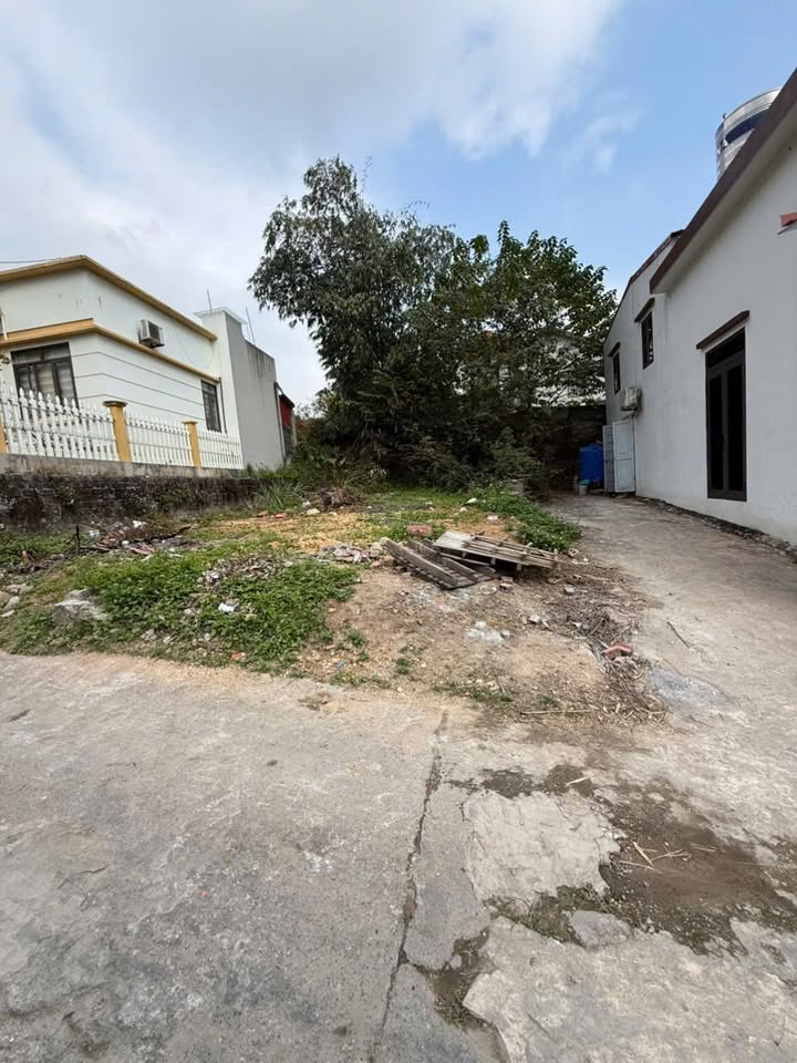 Đất nền Quang Hanh Cẩm Phả 65m² giá 800 triệu - Đầu tư sinh lời ngay!