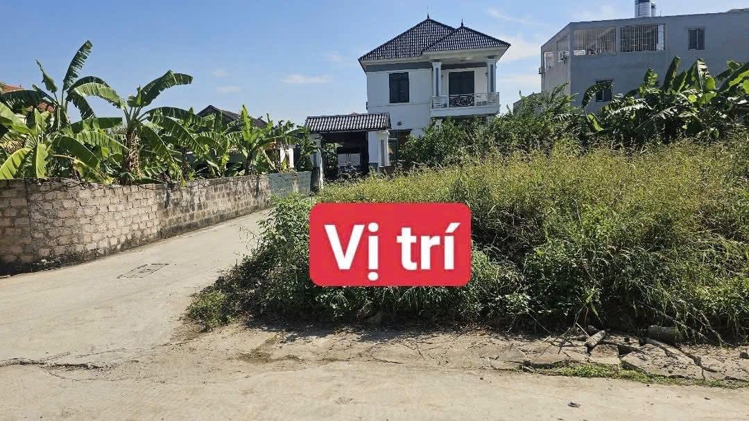Lô đất chính chủ tại Thủy Nguyên, Hải Phòng 82m² - Đường ô tô vào tận nơi!