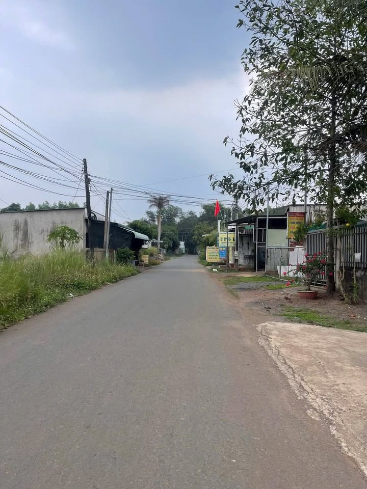 Đất thổ cư Sông Trầu Trảng Bom 115.5m² giá chỉ 1.2 tỷ - Sổ đỏ sang tên ngay!