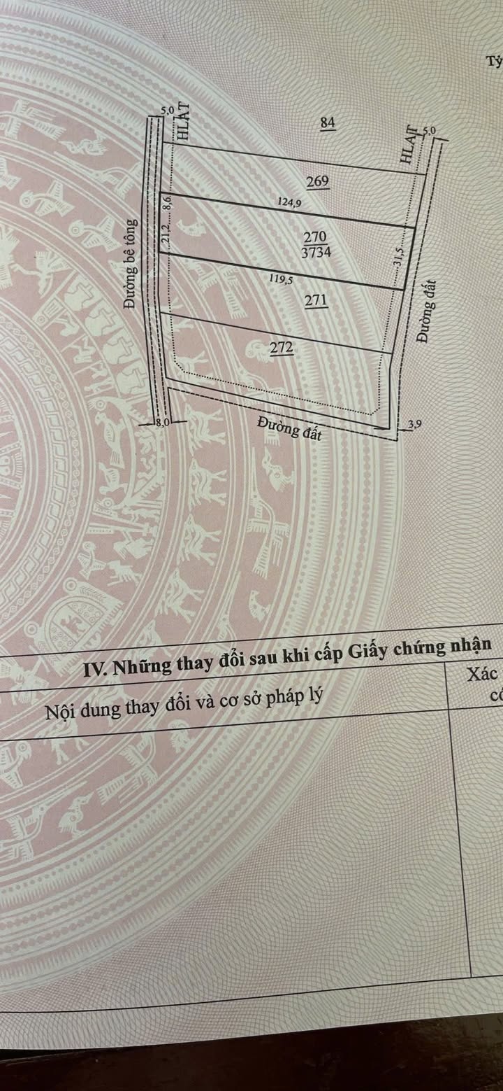 Đất phân lô Trần Phú, Lâm Hà 3600m² giá 800 triệu - Đầu tư sinh lời ngay!