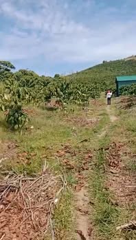 Đất nền Lâm Hà 1,8ha giá 3,9 tỷ - Cơ hội đầu tư tuyệt vời!