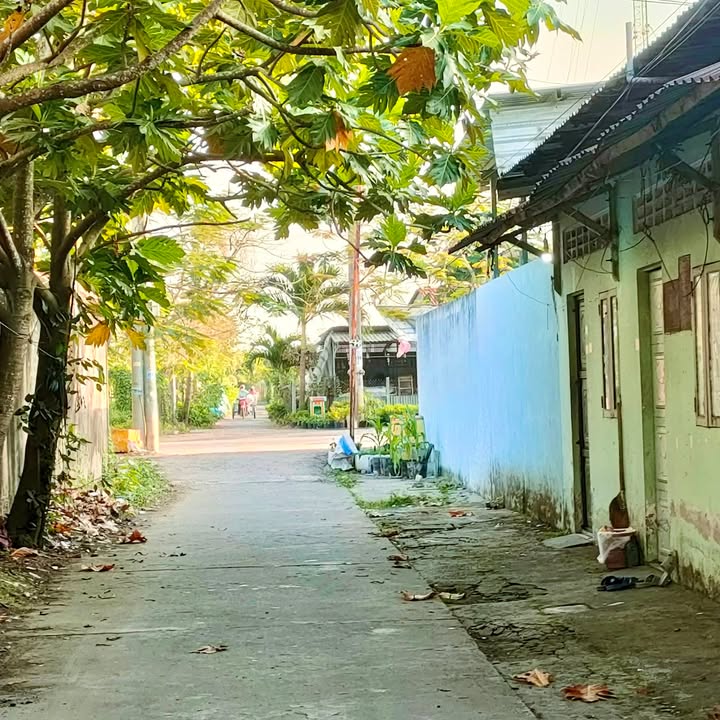 Đất nền 81,9m² đường cặp KCN C, phường Sa Đéc giá 485 triệu - Đầu tư sinh lời ngay!