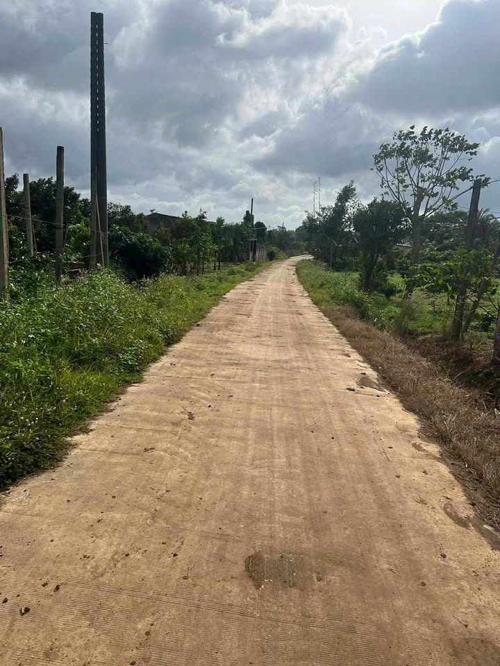 Đất thổ cư Ea Dăh 5120m² - Mặt đường 30m, cơ hội đầu tư hấp dẫn!