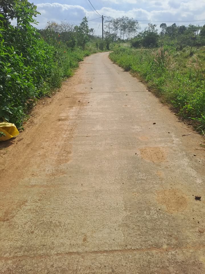 Đất rẫy 1ha ở Ea Đar giá 4.29 tỷ - Sát dân, mặt đường bê tông