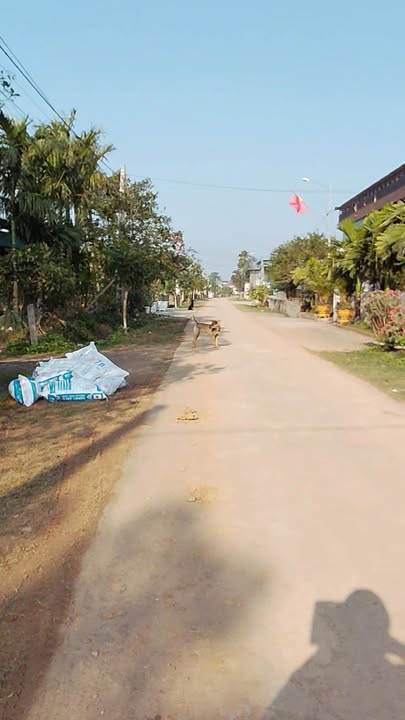 Đất thổ cư Quỳnh Thắng 287m² giá 300 triệu - Đầu tư sinh lời hấp dẫn!