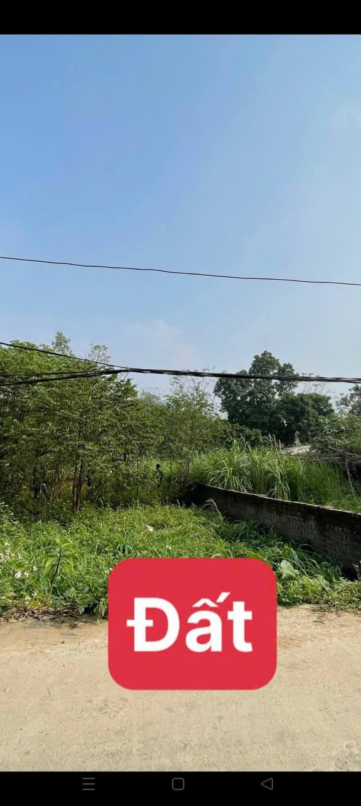 Đất Kim Long - Tam Dương 100m² giá thỏa thuận - Đường trải nhựa thông thoáng!