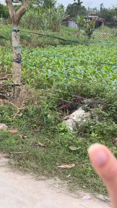 Đất nền Sơn Giang Hương Sơn 200m² - Gần mọi tiện ích sống