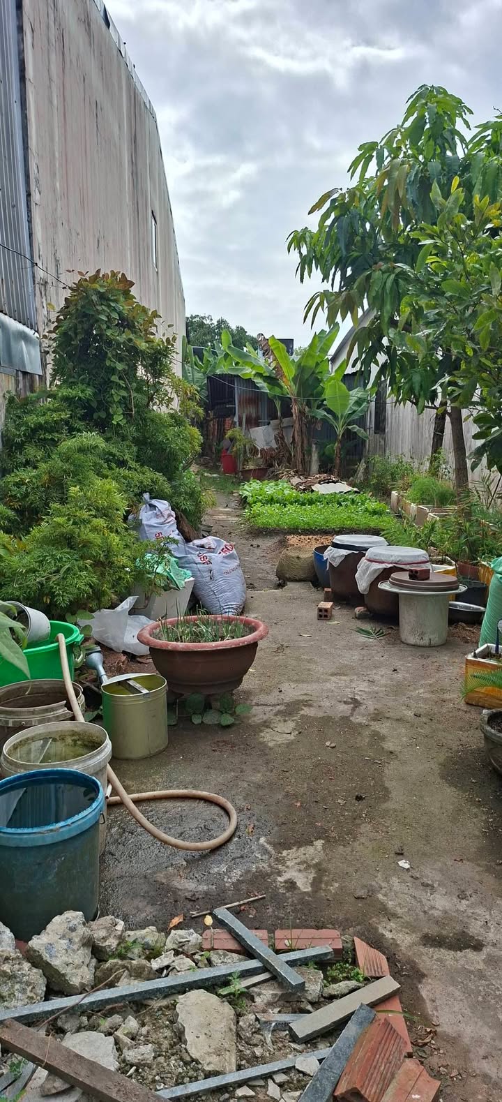 Đất nền hẻm Nguyễn Trung Trực, An Bình, Rạch Giá 68m² chỉ 1.15 tỷ - Đầu tư sinh lời lý tưởng!