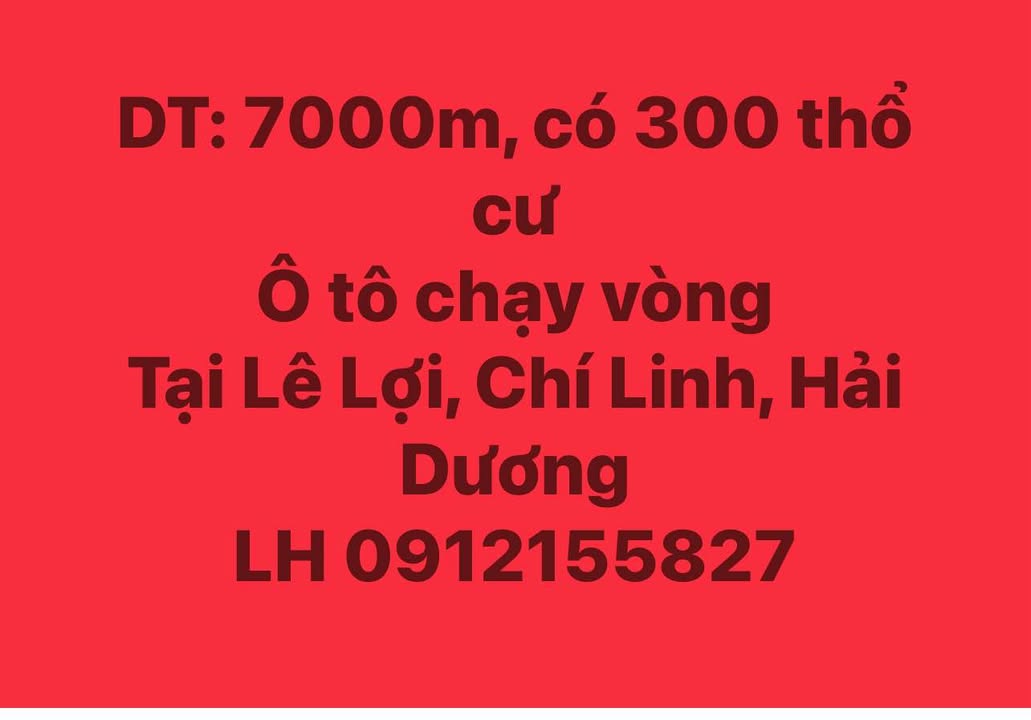 Đất thổ cư 300m² tại Lê Lợi, Chí Linh 7000m² - Đường ô tô vào tận nơi!