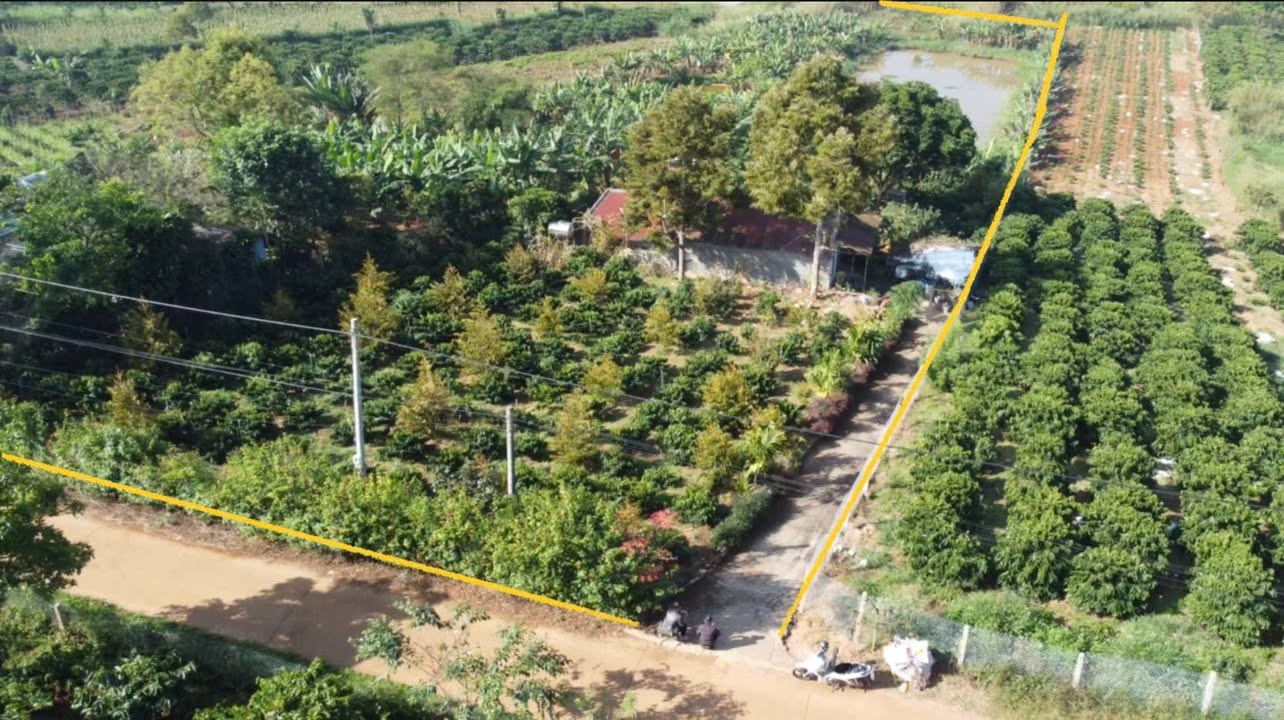 Đất thổ cư Liên Hà Lâm Hà 4986m² giá 2.5 tỷ - Phù hợp đầu tư và sinh sống!