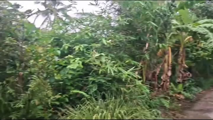 Nhà đất Cái Bè, Tiền Giang 235.5m² giá 560 triệu - Bán gấp!