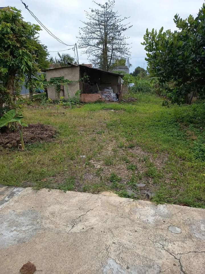 Đất nền Vĩnh An 712m² giá 1.65 tỷ - Đầu tư tuyệt vời ngay trung tâm!