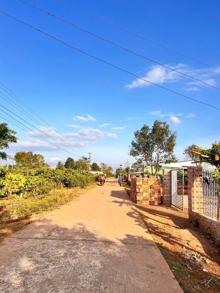 Đất thổ cư Trương Định, Pleiku 255m² giá 200 triệu - Cơ hội đầu tư hiếm có!