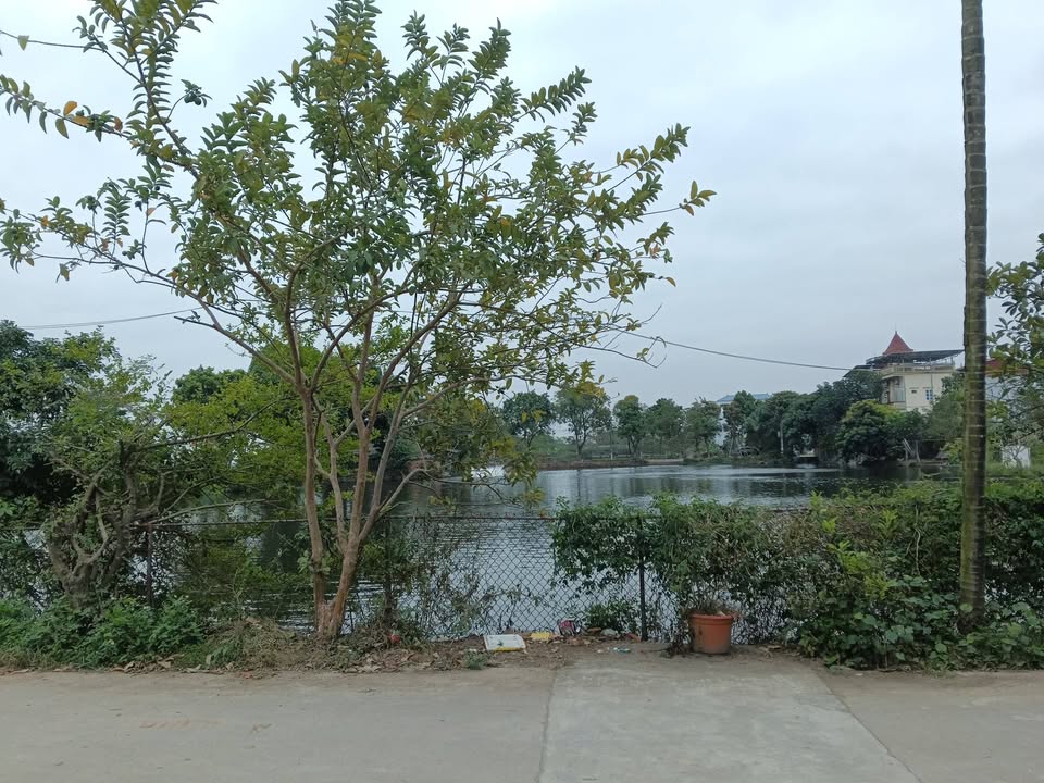 Đất nền Ứng Hòa Hà Nội 118m² - Vị trí đắc địa, giá thỏa thuận!