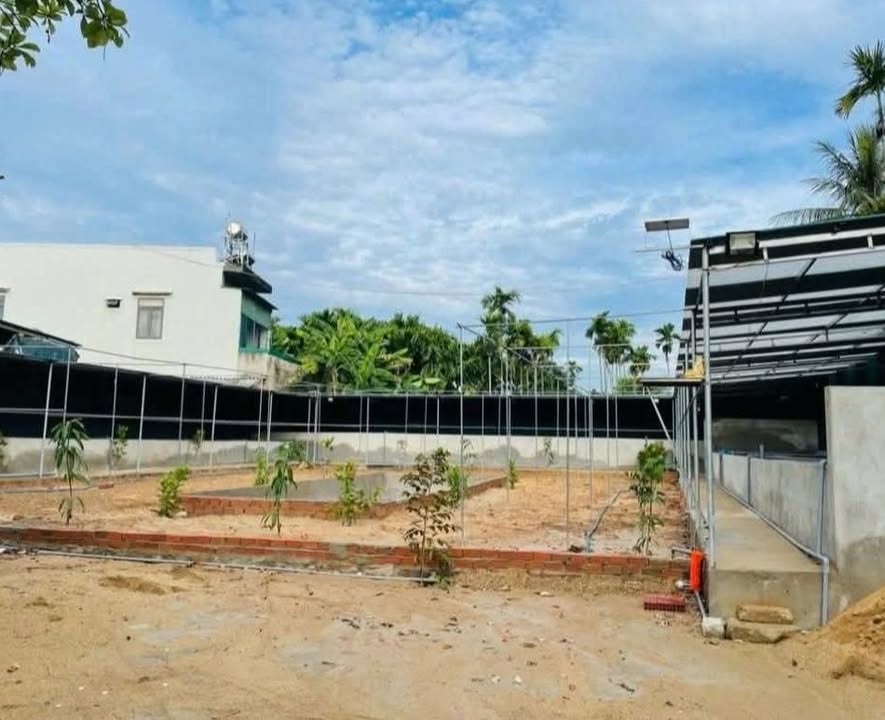 Đất vườn 760m² phường Nghĩa Lộ giá 3 tỷ - Đầu tư sinh lời hấp dẫn!