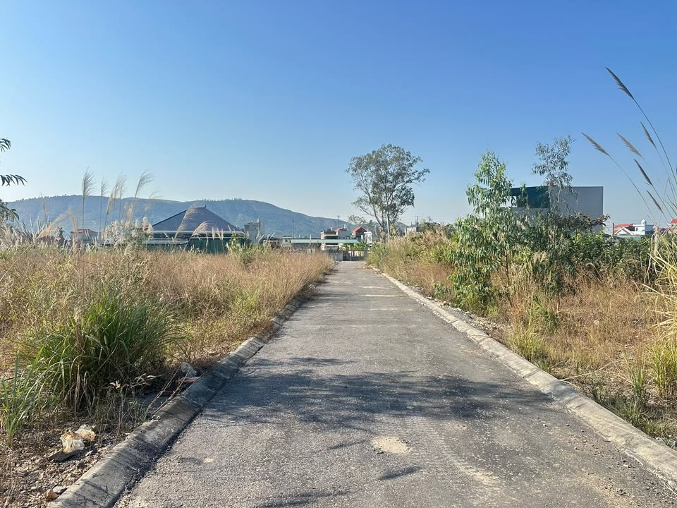 Đất nền Trại Thành Đông Mai 95,4m² giá 550 triệu - Đường ô tô vào tận nơi!