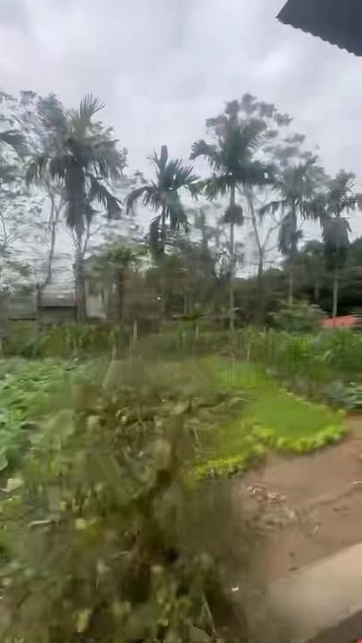 Đất nền Minh Côi Hạ Hòa 800m² giá 1 tỷ - Vị trí đắc địa, mặt tiền rộng!