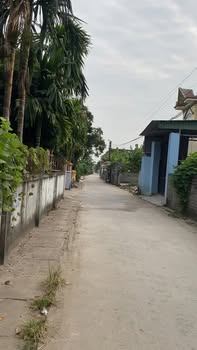 Đất nền Tứ Kỳ - Quang Trung 200m² giá 2 tỷ - Kinh doanh sôi động!