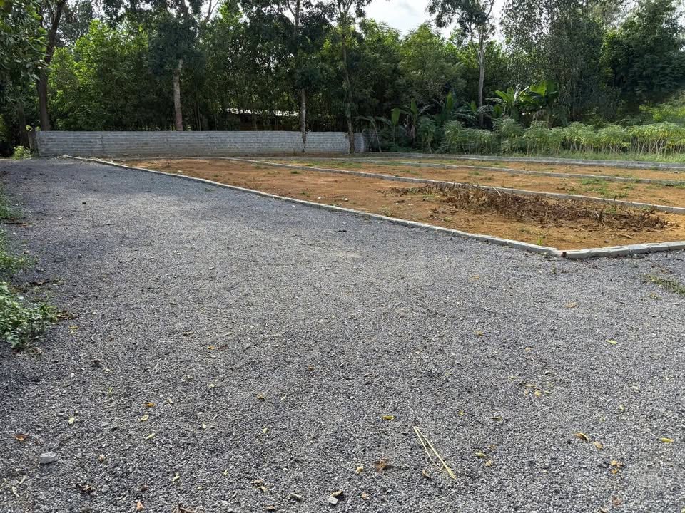 Đất nền xã Thọ Cường, Triệu Sơn, Thanh Hóa 100m² giá chỉ từ 200 triệu - Cơ hội đầu tư tuyệt vời!