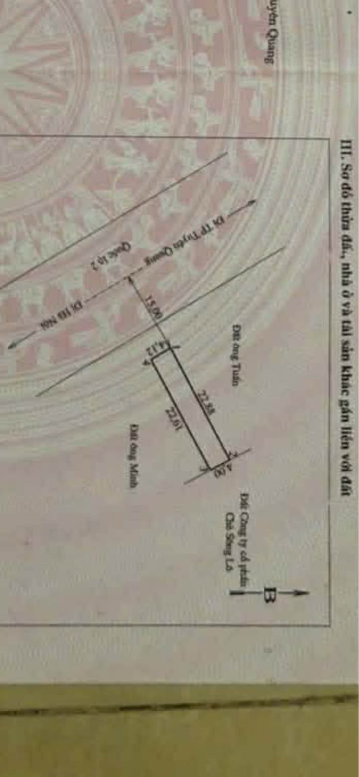 Nhà 2 tầng 1 tum phường An Tường, 92m² giá 4 tỷ - Vị trí kinh doanh đắc địa!