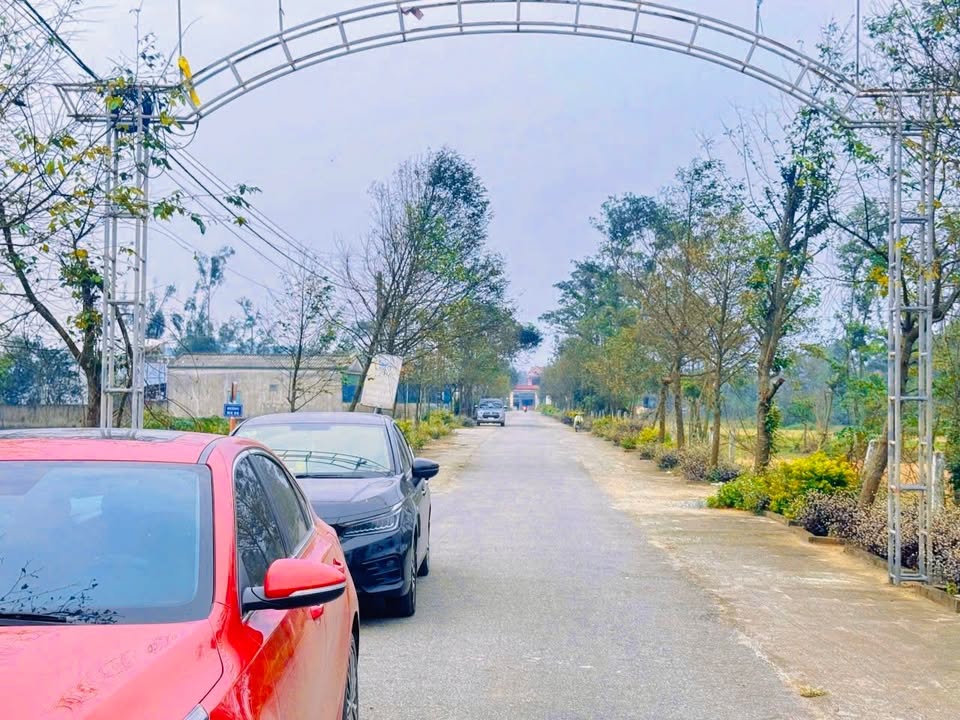 Đất đấu giá Xuân Mỹ Nghi Xuân 25247.5m² giá 1 tỷ - Cơ hội đầu tư hiếm có!