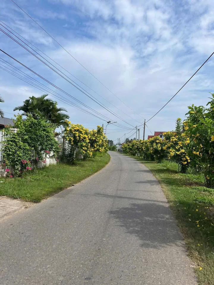 Đất sào mặt nhựa xã Hàm Liêm 1.600m² giá 1.92 tỷ - Đầu tư sinh lời lý tưởng!