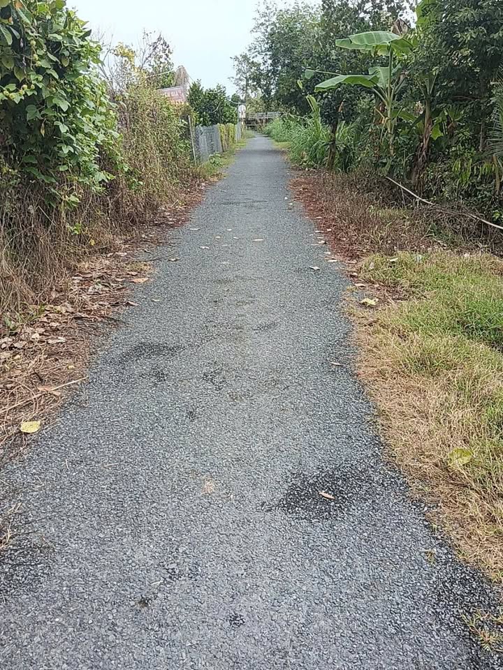 Farm Sầu Riêng 14 Công tại Mỹ Hội, Cái Bè, Tiền Giang - Giá chỉ 8.96 tỷ