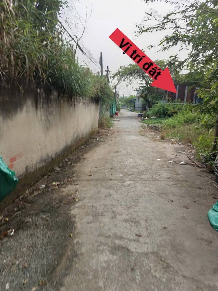 Đất nền xã Đại Phước, Nhơn Trạch 268m² giá 2.4 tỷ - Sổ hồng chính chủ, vị trí đắc địa!