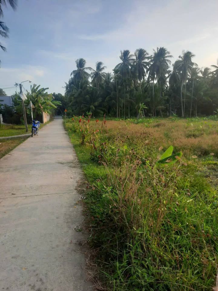 Đất thổ cư 168m² tại Gò Công Tây, Tiền Giang chỉ 295 triệu - Cơ hội đầu tư tuyệt vời!