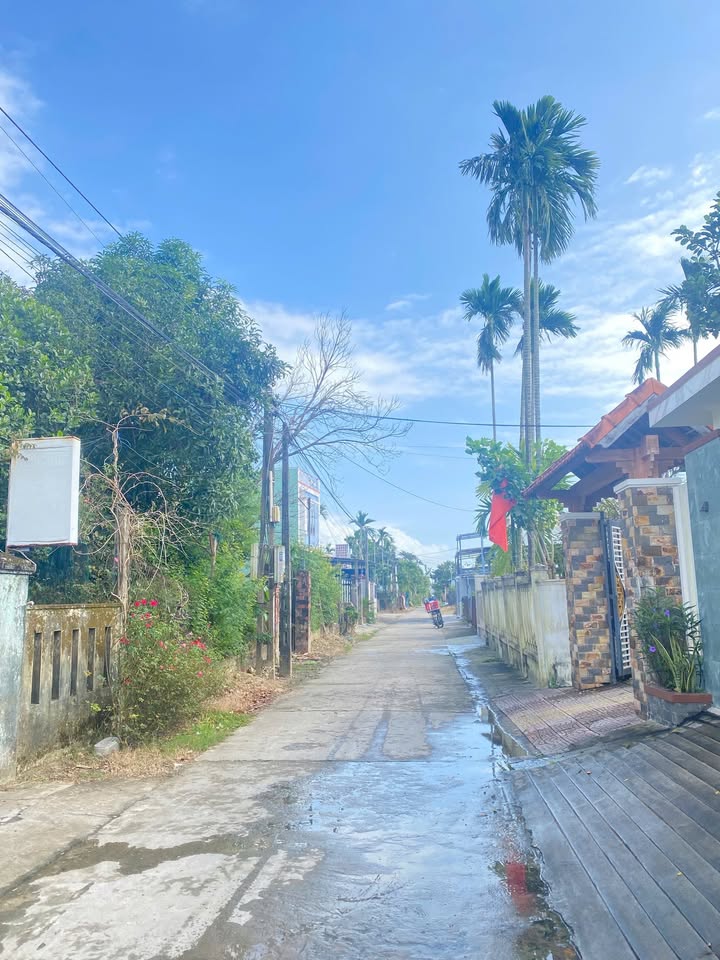 Đất nền Điện Nam Bắc, Điện Bàn 85m² giá 1,65 tỷ - Tiềm năng đầu tư cao!