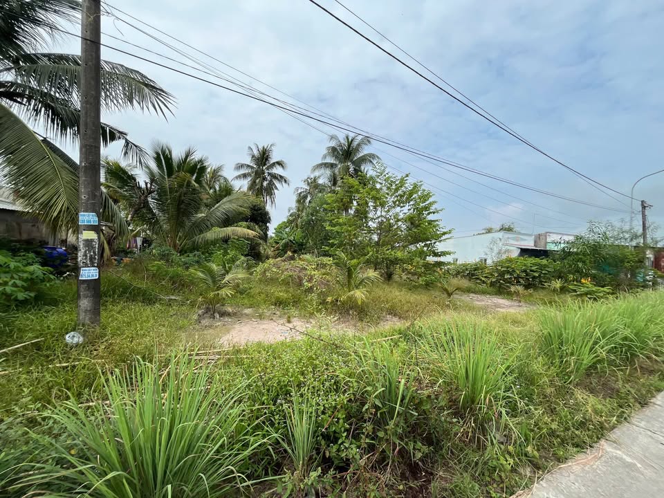 Đất nền Kênh Vàm Trư 725m² giá 2.175 tỷ - Nhà vườn lý tưởng chờ bạn!