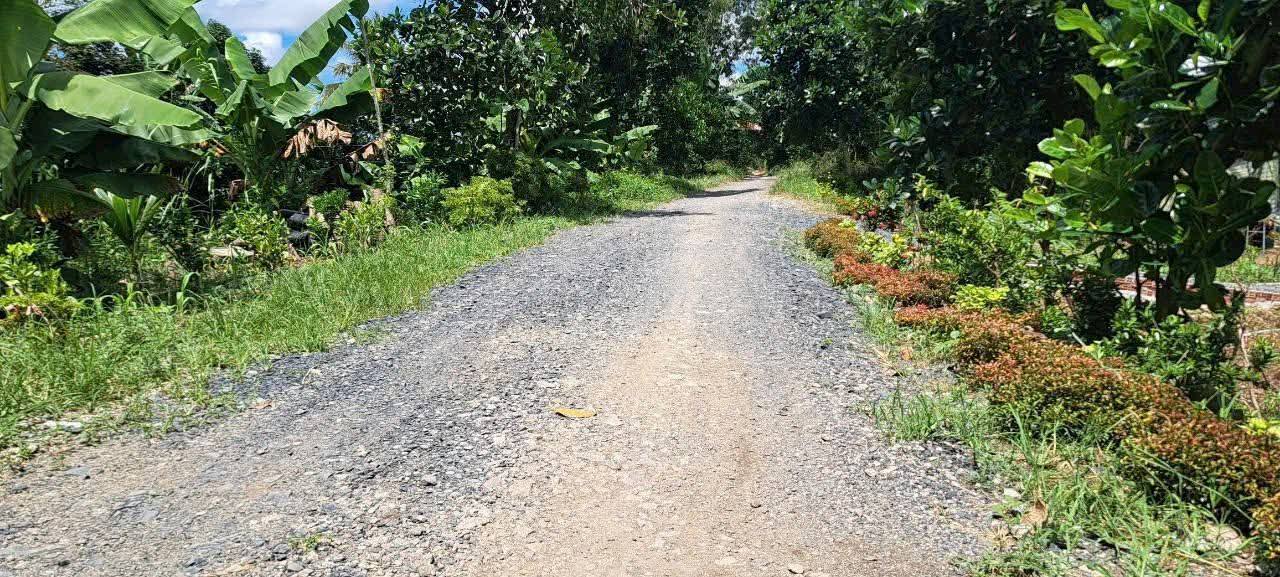 Đất nền 1 công 4 tại Mỹ Hiệp, Cao Lãnh - Giá chỉ 700 triệu!