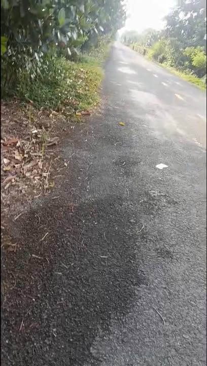 Đất nông nghiệp 8ha tại Thanh Mỹ, Tháp Mười, giá 7.44 tỷ - Cơ hội đầu tư hấp dẫn!