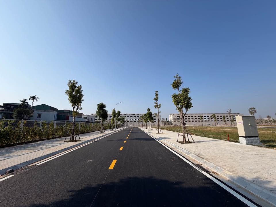 Đất nền Nam Ngạn Thanh Hóa 80m² - Hướng Đông, Giá thỏa thuận hấp dẫn!