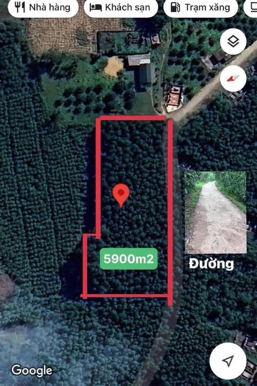 Đất trồng cây lâu năm 5900m² Thôn Vĩnh Nguyên Huế - Giá chỉ 400 triệu!