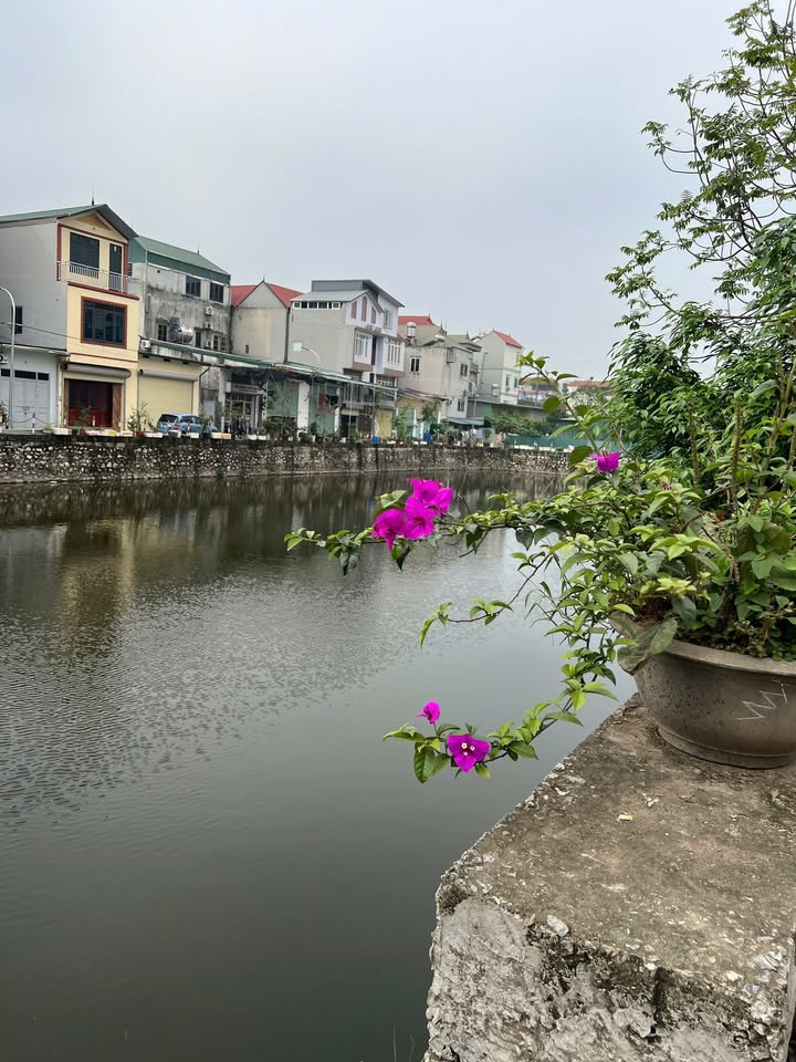 Đất thổ cư An Khánh Hoài Đức 58,9m² giá 7 tỷ - Vị trí đắc địa, pháp lý rõ ràng!