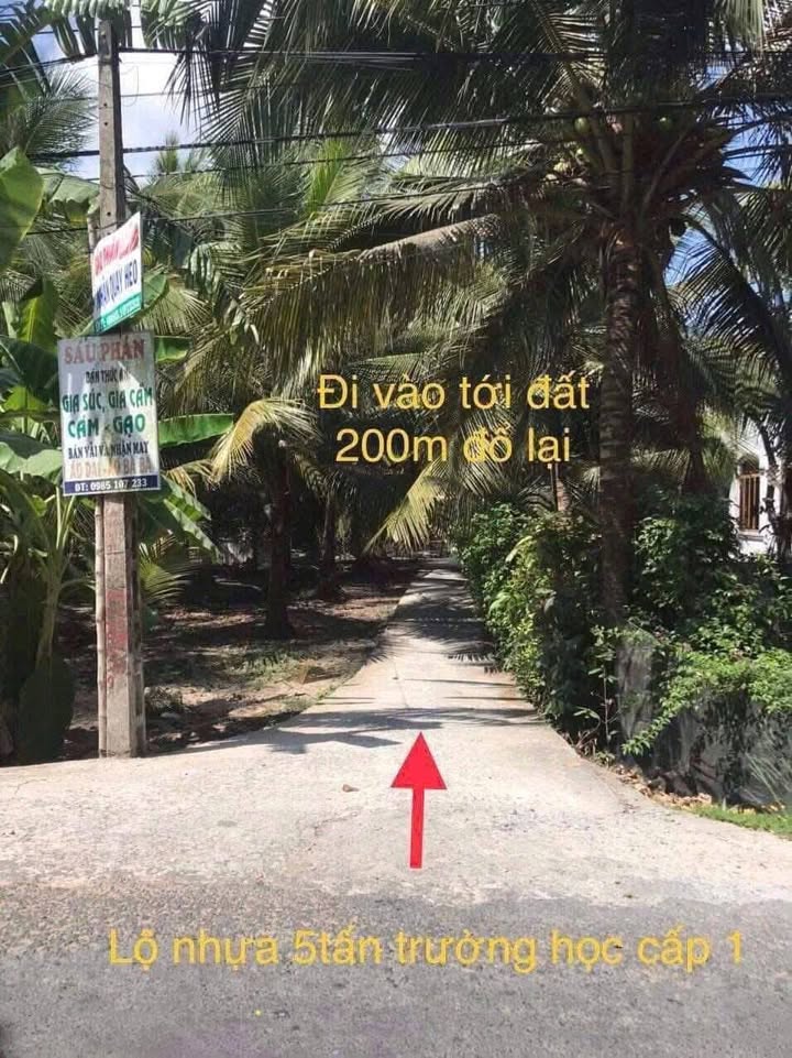 Đất nền Thới Hòa, Trà Ôn 150m² giá 450 triệu - Cơ hội đầu tư sinh lời!