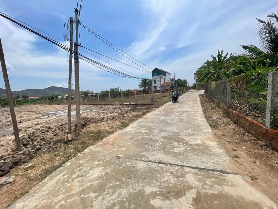 Đất Ninh Xuân, Ninh Hòa 393m² giá 1.35 tỷ - Đầu tư sinh lời nhanh chóng!