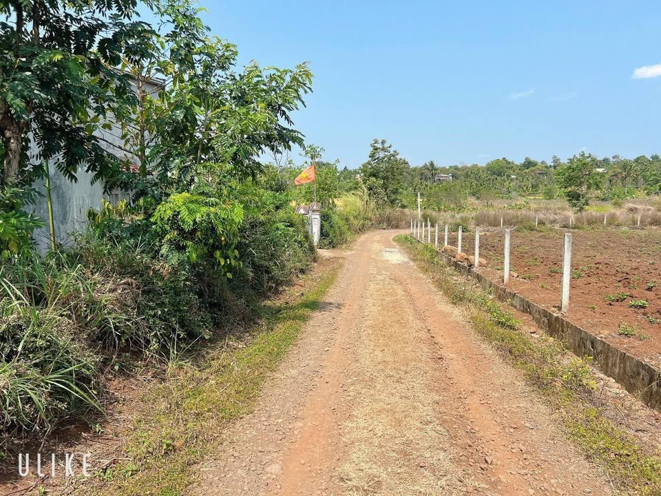 Đất Eaning Cư Kuin 1568m² giá 1.6 tỷ - Cơ hội đầu tư hấp dẫn!