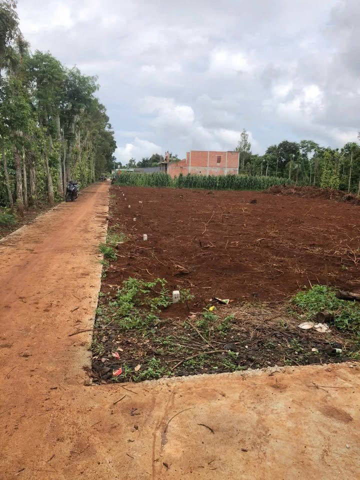 Đất thổ cư khu dân cư Thôn 3 Quảng Phú 125m² giá 455 triệu - Cơ hội đầu tư tuyệt vời!