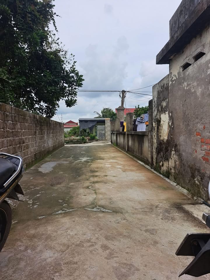 Đất nền Tân Hưng Vĩnh Bảo 110m² giá 560 triệu - Cơ hội vàng đầu tư!